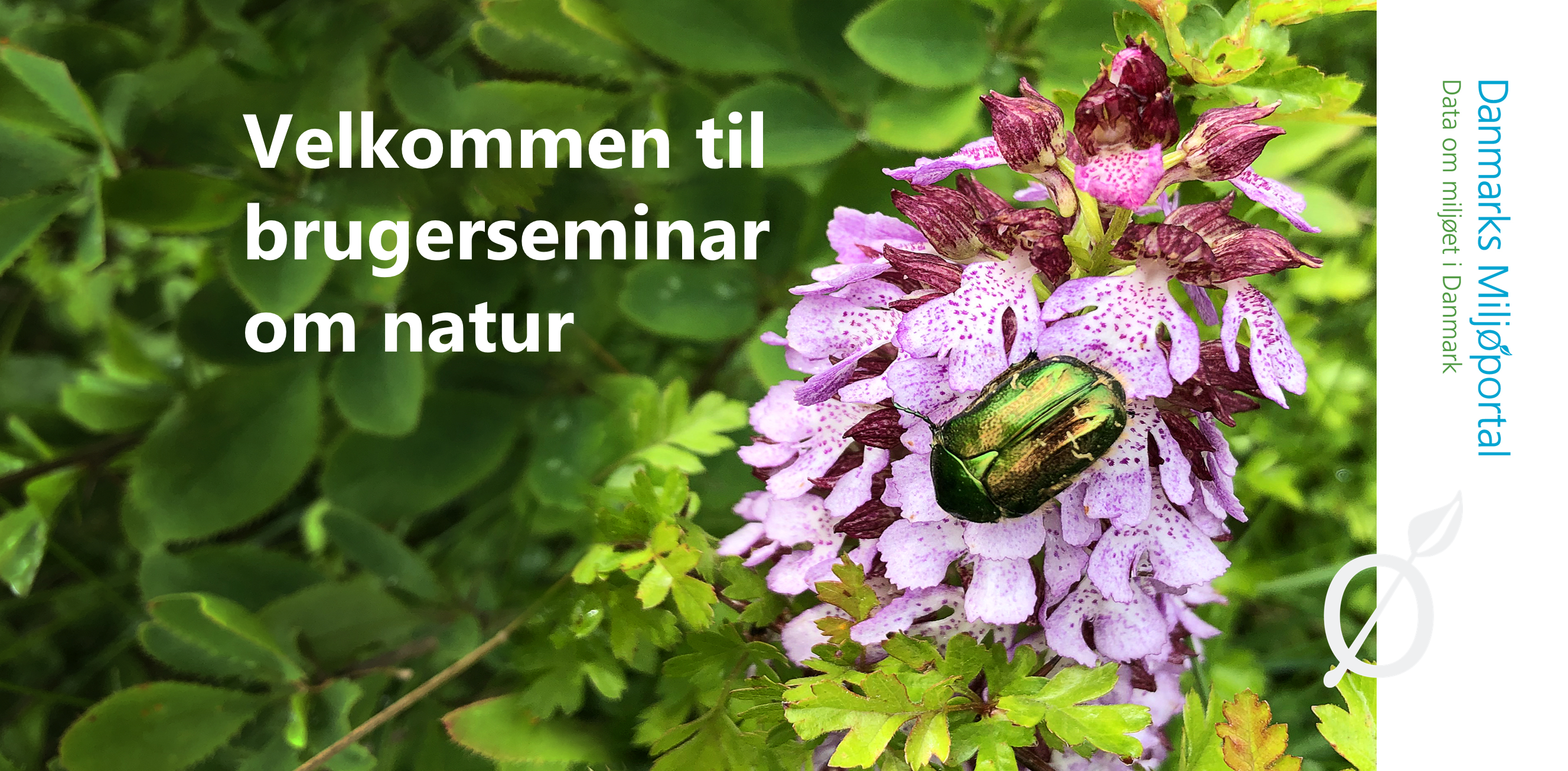 Brugerseminar_natur.png