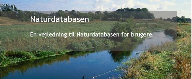 Genvej til vejledning.JPG